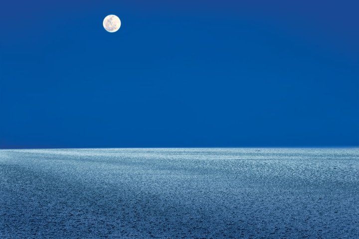 Rann Utsav